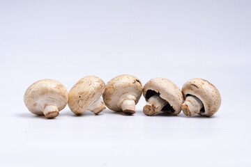 Mushroom Button isolated in white background