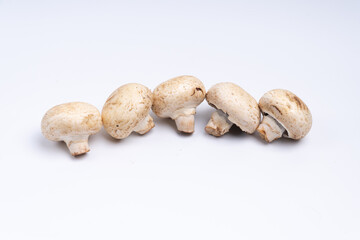 Mushroom Button isolated in white background