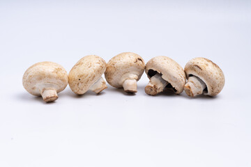 Mushroom Button isolated in white background
