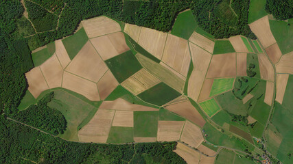 colorful fields and forest bird's eye view, cultivated fields looking down aerial view from above 