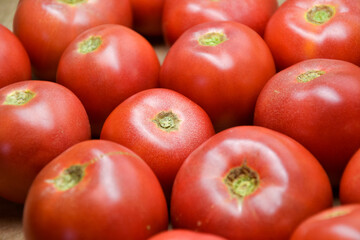 Tomatoes summer harvest. Village garden harvest. Tomatoes from farmers market. Fresh red tomato. Organic vegetables. Salad ingredients.