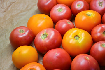 Tomatoes summer harvest. Village garden harvest. Tomato from farmers market. Fresh red and yellow tomatoes. Organic vegetables.