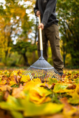 Mit dem Rechen im Herbst viele Blätter zusammen fegen kehren aufräumen