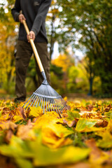 Mit dem Rechen im Herbst viele Blätter zusammen fegen kehren aufräumen