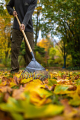 Mit dem Rechen im Herbst viele Blätter zusammen fegen kehren aufräumen