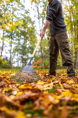 Blätter im Herbst zusammenfegen