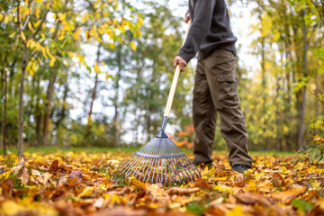 Haus und Hof sauber machen im Herbst von Blättern befreien
