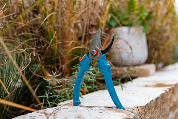 Garden shears In the garden - cutting back plants and making them winterproof