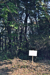 山林、土地を販売しているイメージ