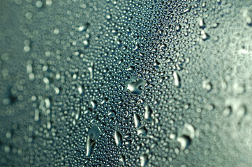 A drop of water on a tree sheet close-up
