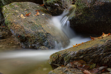 Eau douce Occitanie, Tarn
