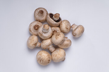 Mushroom Button isolated in white background