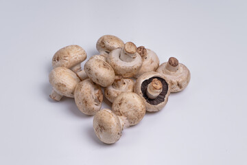 Mushroom Button isolated in white background