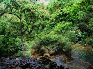 Obraz premium Backpacking through the waterfalls and jungles down the Mekong River in Laos, Southeast Asia