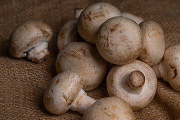 Fresh Button Mushroom on wooden table.