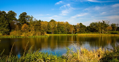 Autumn landscape with lake and trees. Stawy Sefańskiego Łódź Poland - obrazy, fototapety, plakaty