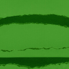 Green torn paper collage close-up. Texture made from various paper and cardboard parts. Damaged old paper background. Vintage blank wallpaper. Material design backdrop.