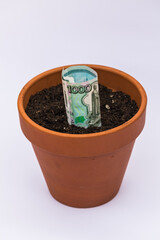 russian thousand rubles bill in ceramic pot with earth