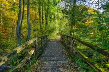 Alte Brücke auf dem Wanderweg bei Haan