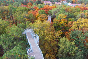 Baumkronenpfad Beelitz-Heilst&auml;tten