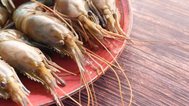 close up of tiger prawns on plate ,