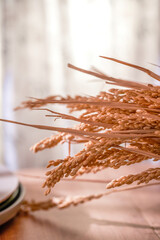 Close-up of rice ears and wheat ears under the sunlight by the window