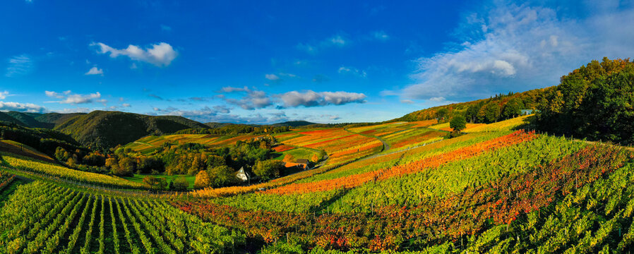 Oktober 2020 Weinberge Bad Neuenahr-Ahrweiler ; Ahrtal ; Indian Summer ;.Foto: Norbert Ittermann.www.norbert-ittermann.de.