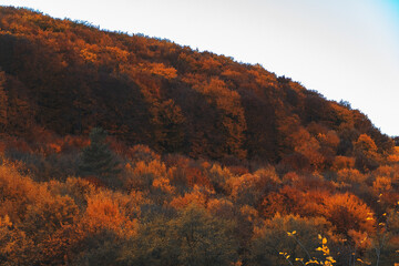 Autumn scenery in early November