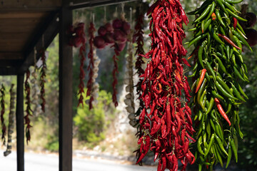 Naklejka premium different kinds of hanging chili peppers, Apulia, Italy