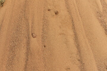 The texture of the sandy layer of the earth. Sand background