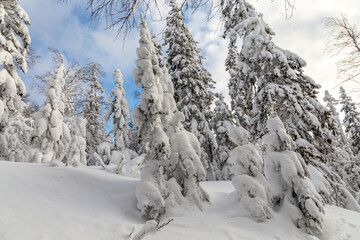 Winter landscape. Taganay national Park, Zlatoust city, Chelyabinsk region, South Ural, Russia.
