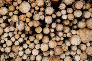 Holzstapel Baumst&auml;mme Forstwirtschaft
