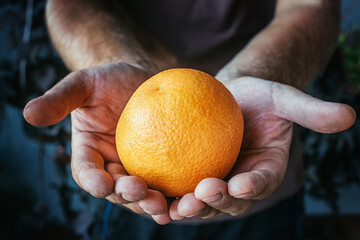 a farmer holding an orange with dirty hands