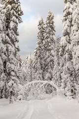 Winter landscape. Taganay national Park, Zlatoust city, Chelyabinsk region, South Ural, Russia.