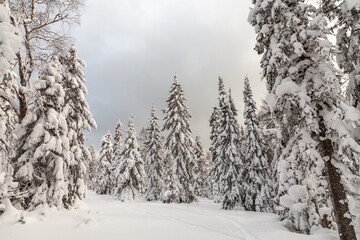 Winter landscape. Taganay national Park, Zlatoust city, Chelyabinsk region, South Ural, Russia.