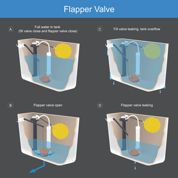 Flapper Valve. Illustration explain the method working a flapper valve which is composition important of toilet bow..