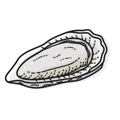 Oyster isolated on white background. Vector illustration of seafood.