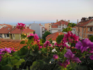 View from the blurred red tiled roof at the foreground over the closed cosy yard surrounded by school building and old traditional houses