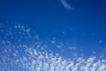 Naklejka premium The white clouds in the blue sky evoke a feeling of freshness and freedom.