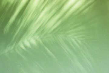 Light green concrete wall surface and cement background textures for interior or exterior decoration.