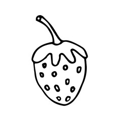 Single strawberry icon. Hand drawn vector illustration in doodle style outline drawing isolated on white background.
