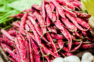 Haricots rouge fraichement cueillis au jardin