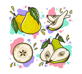 Juicy pear vector set. Cartoon illustration. Fresh and bright pears