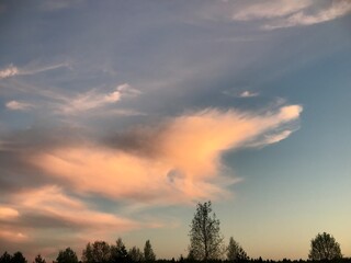 Fototapeta premium sunset in the sky