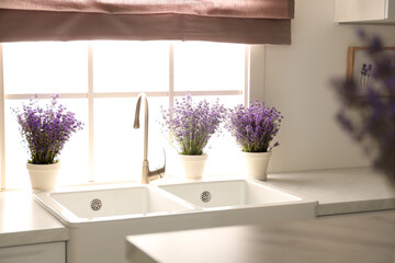 Beautiful lavender flowers on countertop near window in kitchen