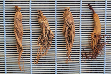 Dry Ginseng Roots on the bamboo basket background