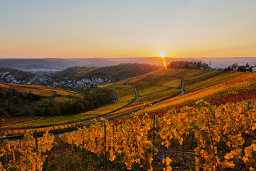 Sunset over the autumn vineyards of Stuttgart