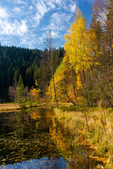 Herbst am Ellbachsee, Schwarzwald