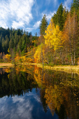 Herbst am Ellbachsee, Schwarzwald