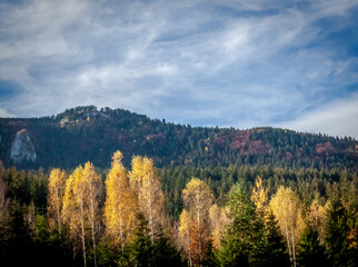 autumn in the mountains